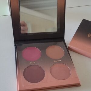 New In PKG: Berry Beautiful Blush Palette from Shades by Shan